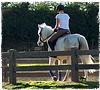 Oregon Horse Property for Sale